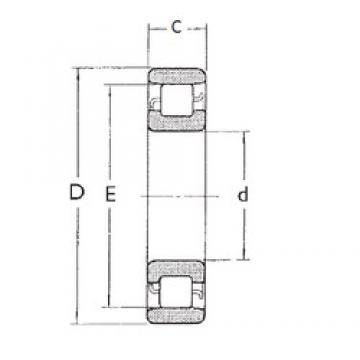 25 mm x 80 mm x 21 mm  FBJ N405 Rodamientos De Rodillos