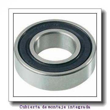 Axle end cap K86003-90015        Cojinetes integrados AP